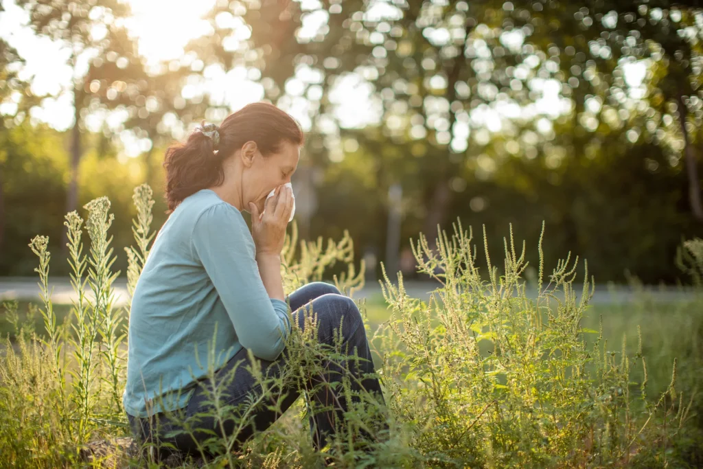 grass pollen allergy