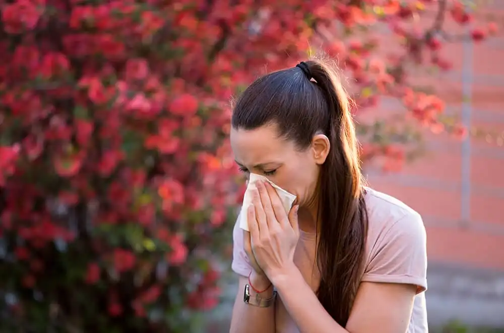 Understanding Pollen Allergy- Symptoms, causes, and treatments